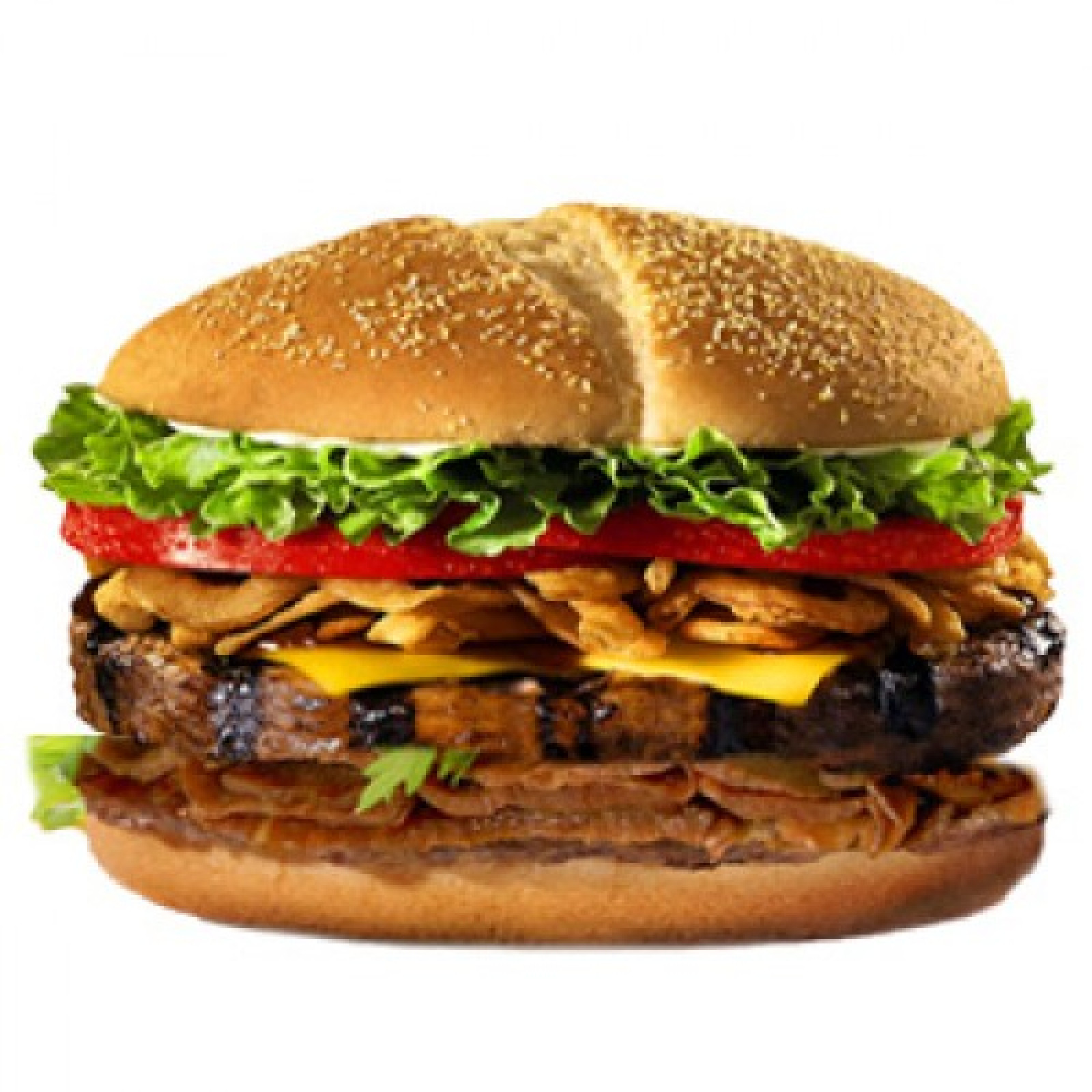 1/2 BEEF BURGER WITH DONER